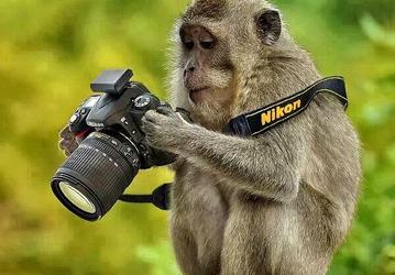 За квартал Nikon удалось продать более миллиона камер со сменными объективами и почти полтора миллиона объективов к ним