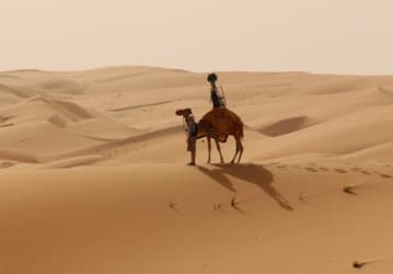 Google использует верблюдов для улучшения сервиса Google Street View