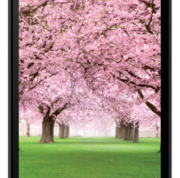 Смартфон Intex Aqua Desire HD: восьмиядерная SoC MediaTek MT6592M и экран разрешением 1280 х 720 точек