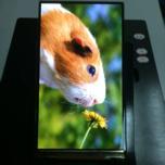Китайская компания Tianma показала прототип панели AMOLED плотностью 400 пикселей на дюйм, созданный по собственной технологии