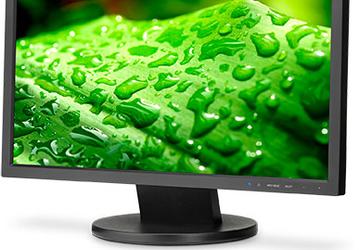 В мониторе NEC AccuSync AS203WMi используется панель типа IPS