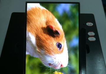 Китайская компания Tianma показала прототип панели AMOLED плотностью 400 пикселей на дюйм, созданный по собственной технологии
