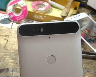 Новый смартфон Nexus разработки Huawei запечатлён на фото