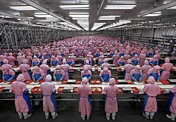 На постройку новых объектов в Индии Foxconn выделит 5 млрд долларов в течение ближайших пяти лет
