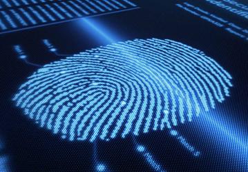 Elan Microelectronics планирует сделать поставки дактилоскопических датчиков массовыми во втором квартале 2016 года