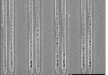Специалисты Samsung рассказали, как можно уменьшить DRAM до технологических норм 10 нм 
