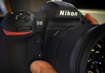 Фото дня: первые изображения камеры Nikon D5