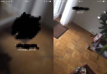 В ближайшее время в WhatsApp должны добавить видеозвонки