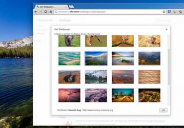 В нынешнем году Google выпустит гибридный хромбук
