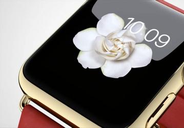 Apple оборудует фирменные магазины сейфами для хранения «золотых» модификаций часов Watch