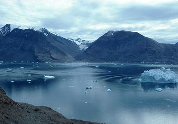 Для 3D-карт серии AMD Radeon Rx 400 выбрано условное наименование Arctic Islands