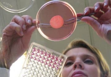 Компания L'Oreal будет использовать распечатанную на 3D-принтерах кожу для тестирования своей продукции