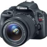 В августе ожидается анонс зеркальной камеры Canon начального уровня 