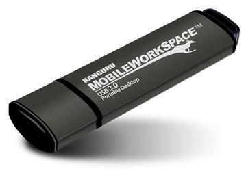 Флэш-накопитель Kanguru Mobile WorkSpace с поддержкой Windows to Go стоит $120