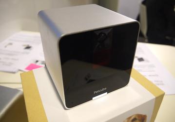 Камера Petcube позволяет дразнить домашнего питомца из любой точки планеты