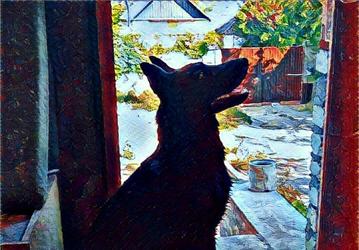 Приложение Prisma учится работать без подключения к интернету