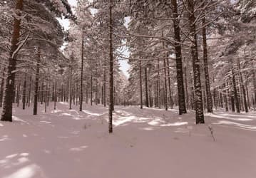 Снимки, приписываемые новой полнокадровой камере Nikon, поражают