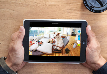 Logitech научила домашнюю камеру наблюдения Circle Home Security Camera отличать животных от людей
