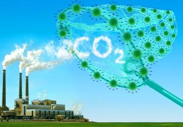 Евросоюз сократит выбросы CO<SUB>2</SUB> на 40% и энергопотребление на 30% к 2030 году