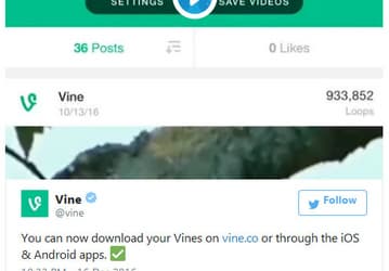 Vine останется, но только как приложение