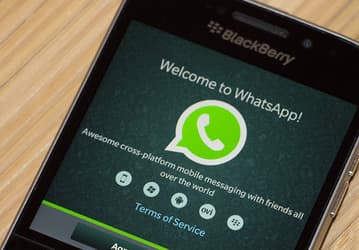 В этом году WhatsApp прекратит поддержку BlackBerry