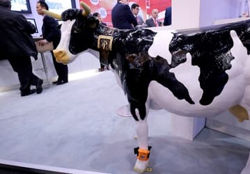 Fujitsu привезла на MWC 2016 корову и коровий шагомер Estrus Detection System for Cattle