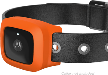 Motorola представила устройства Verve Retrieve, Verve Cam, Verve Loop+, Verve Rider+ и Verve Ones+