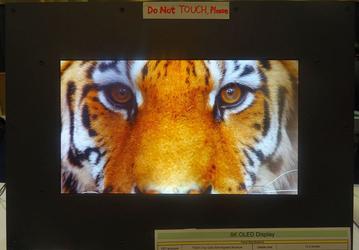 У SEL готов дисплей OLED размером 13,3 дюйма и разрешением 8К с частотой обновления 120 Гц и 12-разрядным представлением цвета