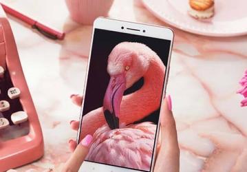 За два месяца поставки планшетофона Xiaomi Mi Max составили более 1,5 млн единиц