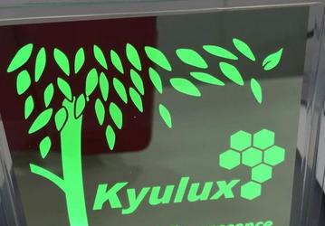 Компания Kyulux займется коммерциализацией разработки университета Кюсю в области OLED