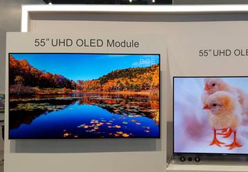 BOE и CSOT показали панели OLED, включая 55-дюймовую панель UHD