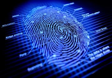 Дактилоскопические датчики Samsung будут использоваться в недорогих смартфонах
