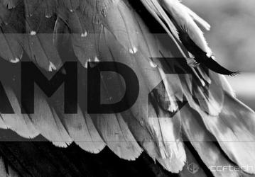 С 2017 по 2019 год процессоры AMD будут носить птичьи имена
