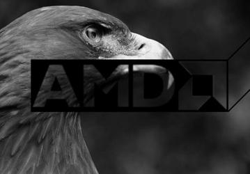 APU AMD Gray Hawk, выпускаемые Globalfoundries по 7-нанометровой технологии FinFET, появятся на рынке в 2019 году