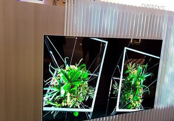 У Panasonic готов прототип референсного телевизора OLED нового поколения