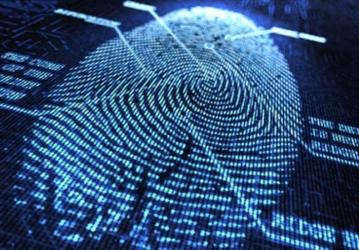 Synaptics начала массовое производство сканеров отпечатков пальцев, предназначенных для расположения под поверхностью экрана смартфонов
