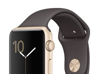 По данным Сanalys, Apple Watch заняли 80% рынка умных часов в четвертом квартале 2016