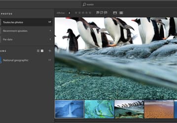 Утечка дала представление о редакторе фотографий Adobe Project Nimbus