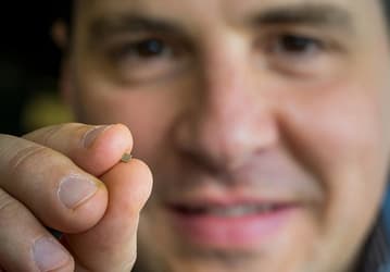 Microsoft рассчитывает перенести технологии искусственного интеллекта на Raspberry Pi и другие микросистемы