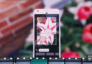 Google Lens — приложение, способное определять, что за объект находится перед камерой смартфона