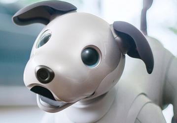 Sony возродила проект Aibo, показав нового робота-собаку за $1740