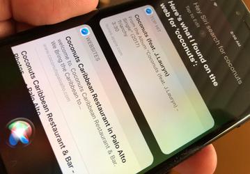 Siri в iOS переходит на использование поисковой системы Google вместо Bing