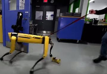 Видео дня: человек не может помешать новому «побегу» робота Boston Dynamics из лаборатории