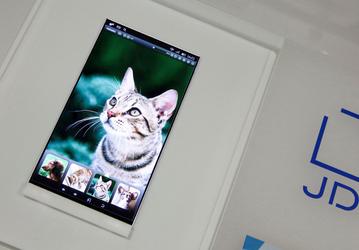 Завершив убытками четвертый квартал подряд, Japan Display собирается уволить 30% персонала
