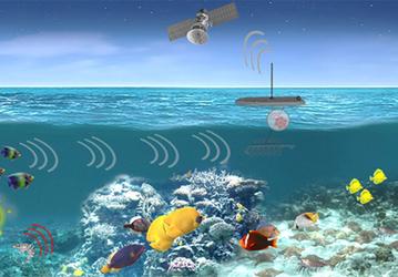DARPA рассчитывает обнаруживать подводные лодки с помощью обитателей моря