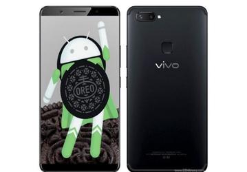 Vivo пока лишила дешевые модели смартфонов обновления до Android 8.0