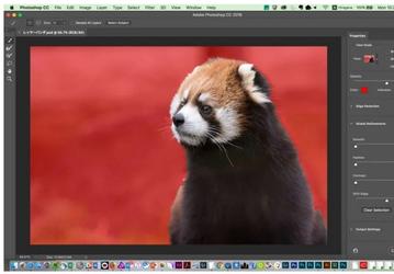 В новой версии ПО Photoshop появился инструмент выделения Select Subject, в основе которого лежат технологии искусственного интеллекта