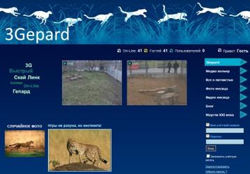 3Gepard в мобильном телефоне «Скай Линк»