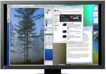 FlexScan SX3031WK WideScreen — 30" рабочего стола в исполнении EIZO 