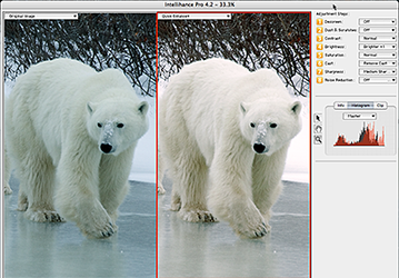 Intellihance Pro 4.2 поддерживает Adobe CS3